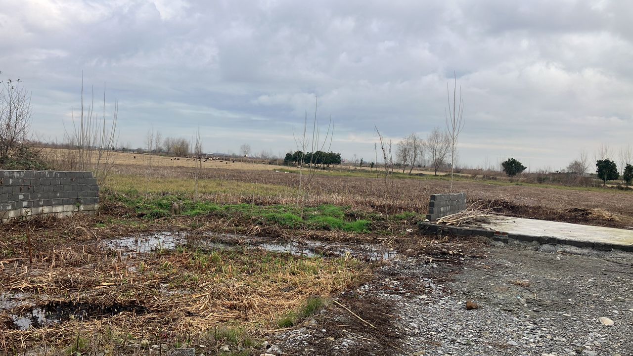 زمین سرمایه گذاری شمال