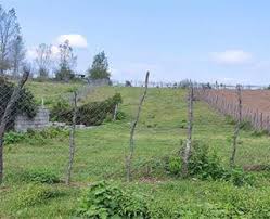 زمین ارزان شمال