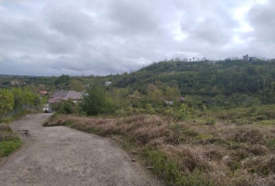 زمین چسبیده به بافت